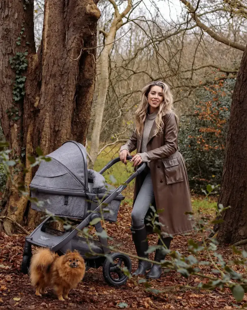 Model grijzekinderwagen